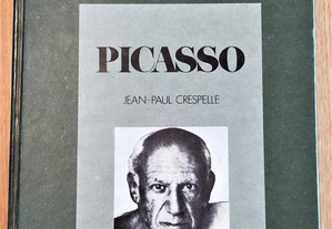 Conhecer Picasso