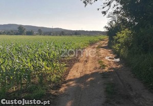 Terreno Agrícola Com 3.600 M2 Em Fradelos...