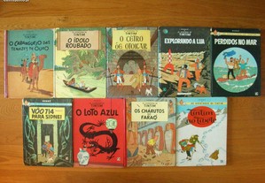 imagem_6
