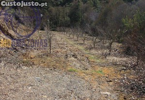 imagem_15