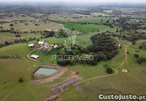 Herdade com 99ha, odemira