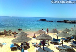 imagem_11