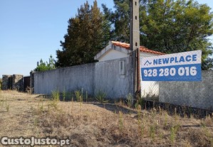 Quinta com 3 casas, vinha, olival e gua em abundncia, inclui recheio
