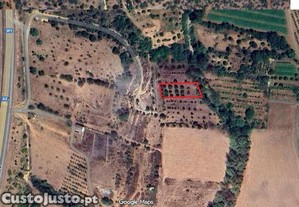 Terreno em Paderne de 1120,00 m
