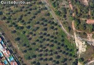 Terreno p/ Construo - Jardins do Sado