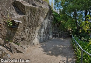 imagem_6