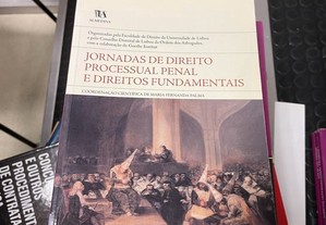 livro jornadas de direito processual penal e direitos fundamentais- almedina- maria fernanda palma