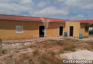 imagem_14