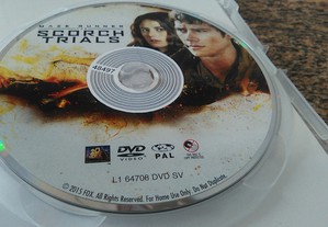 imagem_11