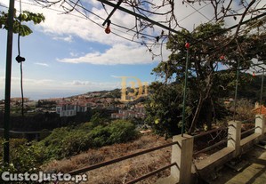 imagem_28