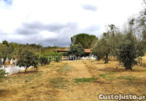imagem_9