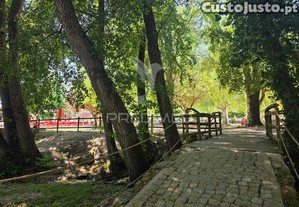 imagem_36