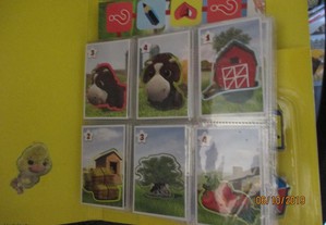 imagem_5