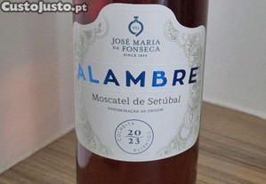 imagem_4