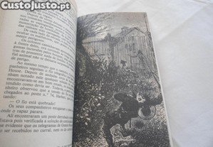 imagem_7