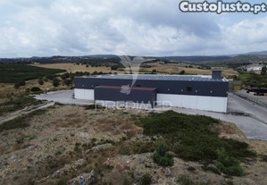 imagem_11