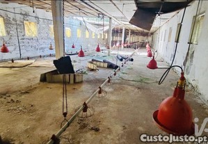imagem_30