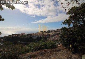 imagem_29