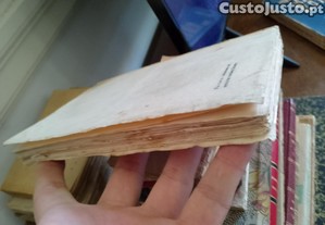 imagem_11