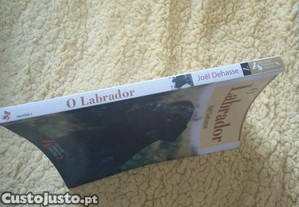 imagem_8