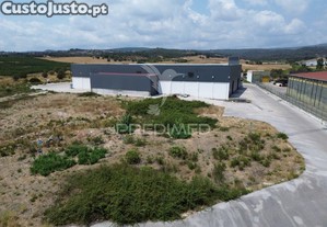 imagem_21
