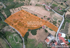Terreno para Construo e Agrcola em Coelhoso