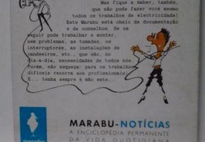 imagem_4
