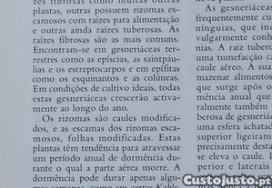 imagem_8