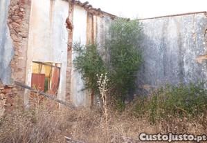 imagem_10