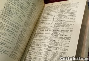 imagem_7