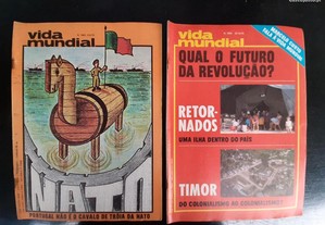 imagem_8