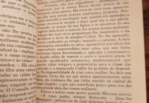 imagem_8