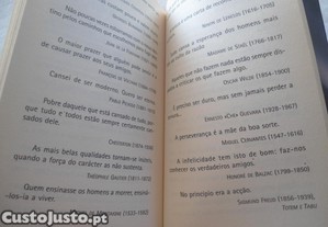 imagem_8