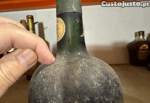 imagem_4
