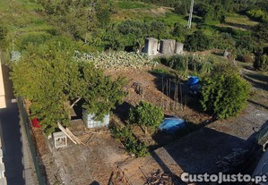 imagem_4