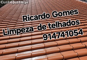imagem_1