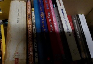 imagem_4