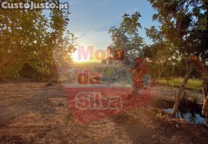 imagem_21