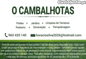 imagem_1