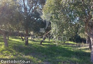 imagem_14
