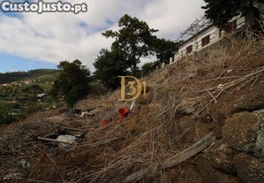 imagem_14