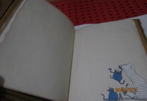imagem_3