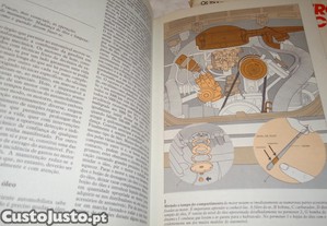 imagem_6