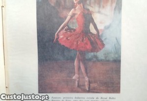 imagem_6