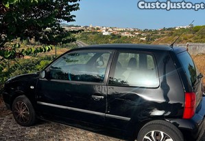 imagem_10