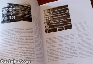 imagem_11