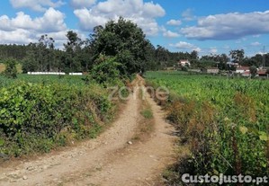 Terreno Rústico Com 5.000 M2 Em Fradelos V.N....