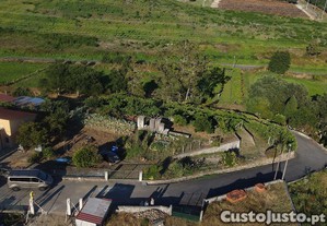 imagem_6