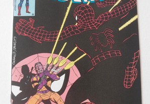 The Amazing Spider-Man 188 Marvel Comics 1978 Bronze Age Pollard Esposito bd Banda Desenhada