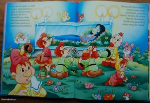 imagem_7